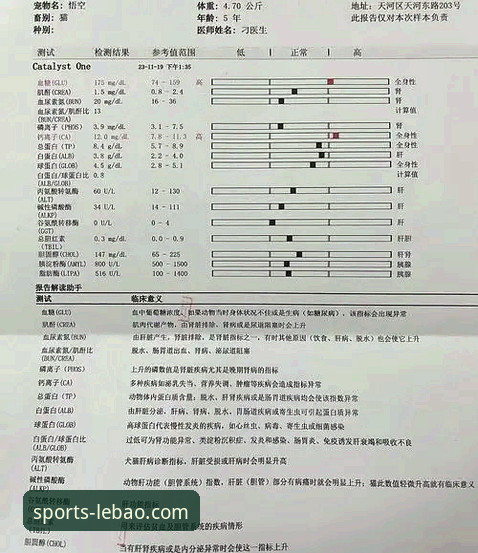 伍兹药物风波事件全记录：从赛场传奇到健康危机的深度评测